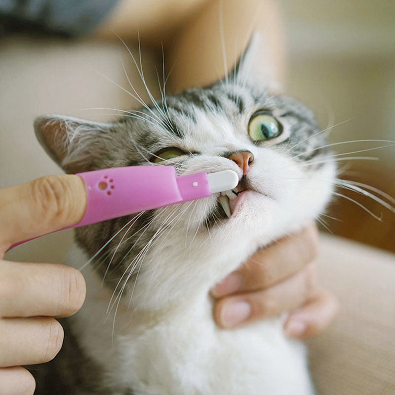 Cepillo de dientes para gatos