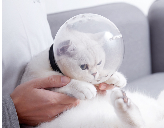 Casco para gatos seguro y transpirable