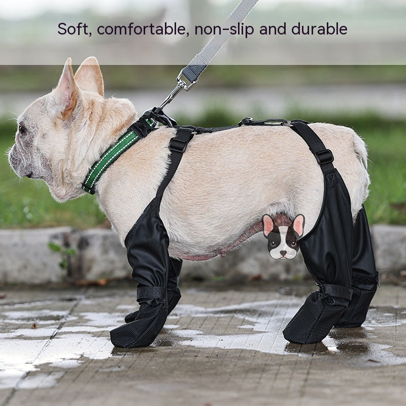 Zapatos impermeables para perros