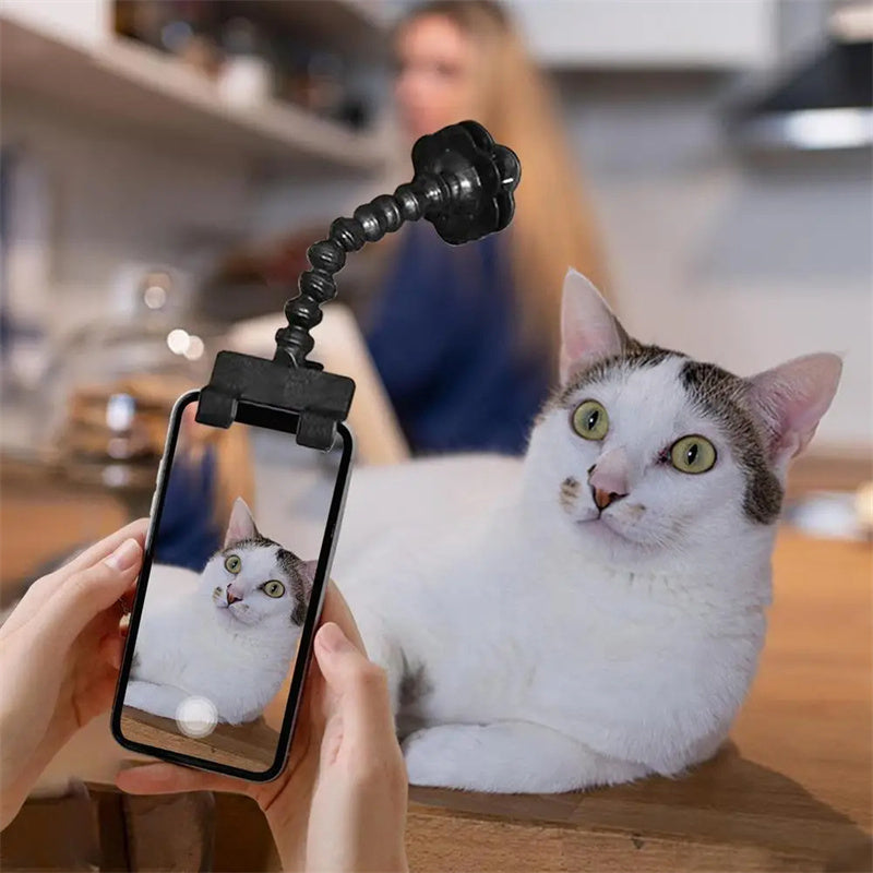 Soporte para fotografía de mascotas