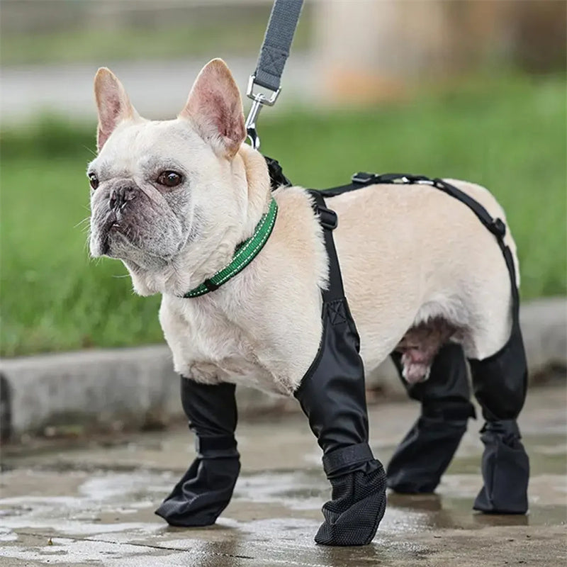 Zapatos impermeables para perros