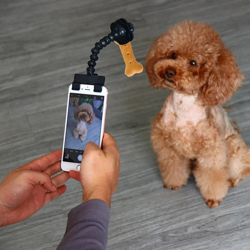 Soporte para fotografía de mascotas