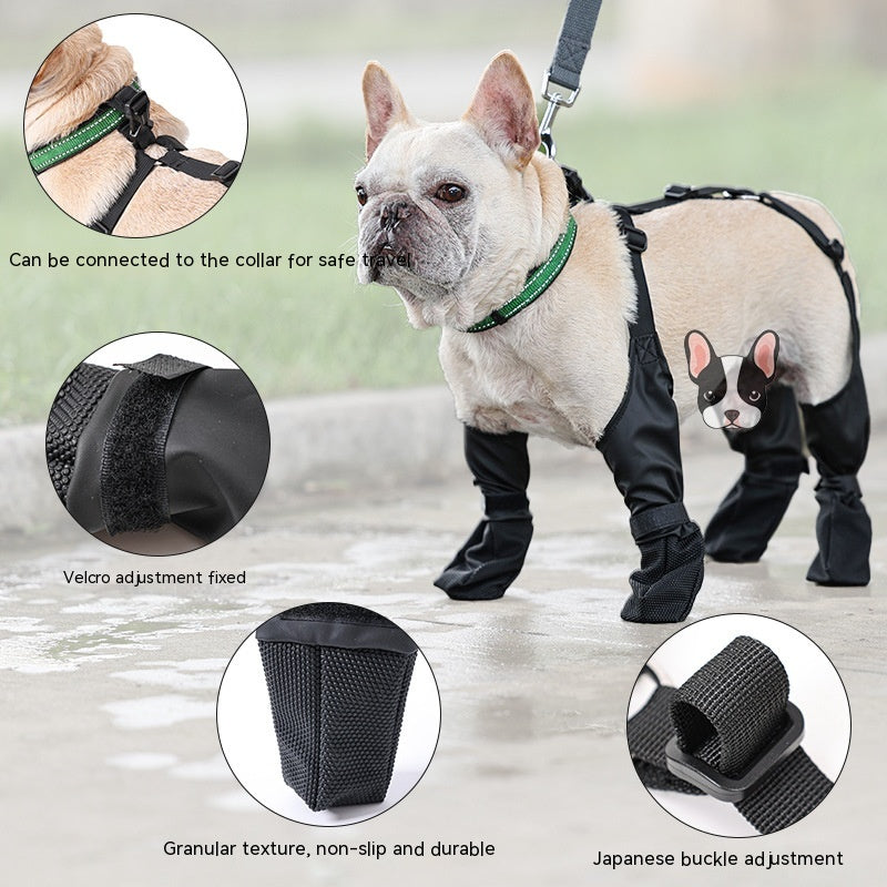 Zapatos impermeables para perros