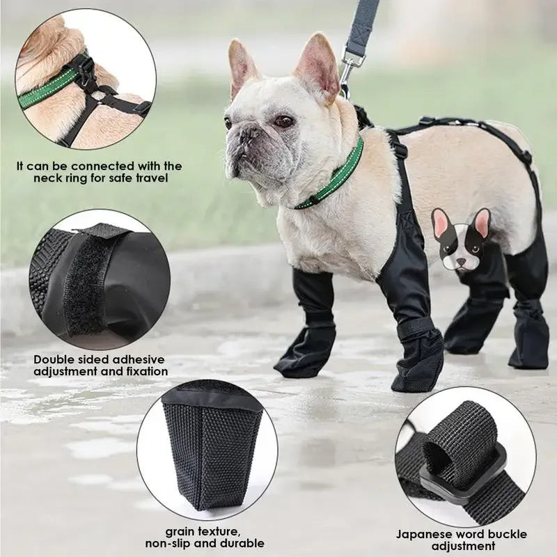 Zapatos impermeables para perros